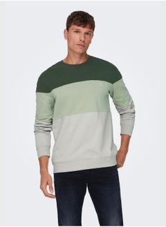 Buy Colorblock Crew Neck Sweatshirt in Saudi Arabia