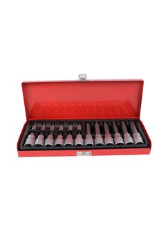 Buy 18-Piece Torx Spline Socket Bit Set in Saudi Arabia