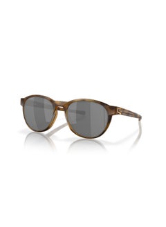 Buy Men's Round Shape  Sunglasses 9126 - Lens Size: 54 Mm - Matte Brown Tortoise in Saudi Arabia