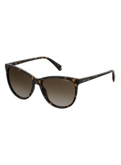 Buy Polarized Square Eyewear Sunglasses PLD 4066/S      HVN 57 in Saudi Arabia