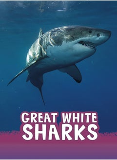 اشتري Great White Sharks في الامارات