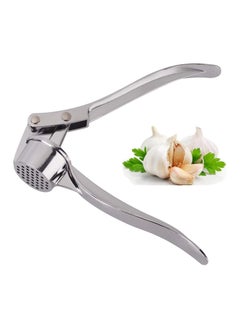 Buy stainless steel small garlic press- silver in Egypt