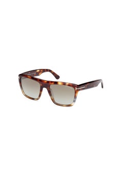 Buy Men's Square Shape Acetate Sunglasses FT107755G55 Lens Size: 55 Millimeter - Dark Havana in UAE