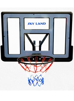 اشتري Wall Mounted Basketball Hoop Backboard, Standard Basketball Backboard, Durable Construction with Nylon Net for Indoor/Outdoor في الامارات