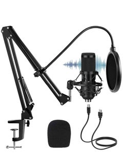 Buy Professional Studio Mic Kit, USB Condenser Microphone with Adjustable Stand, 192KHZ/24BIT, Plug&Play, Professional Studio Podcast Microphone for Recording YouTube Gaming in Saudi Arabia
