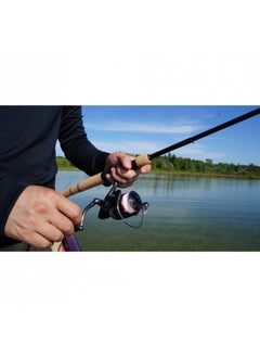 Buy Ugly Stik 6’6” Elite Spinning Rod, Two Piece Spinning Rod, 2-6Lb Line Rating, Ultra Light Rod Power, Medium Fast Action, 1/32-1/8 Oz. Lure Rating in UAE