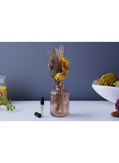 اشتري Sea Breeze Reed Diffuser Teal 100ml في الامارات