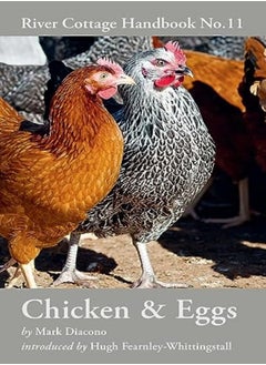 Buy Chicken & Eggs: River Cottage Handbook No.11 in UAE