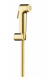 اشتري Hesanit Shattaf Sprayer Set With Pipe And Wall Bracket Gold في السعودية