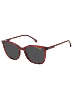 Buy Kids Unisex Rectangular Sunglasses CARRERA 2036T/S BURGUNDY 53 in Saudi Arabia