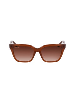 Buy FULL RIM ACETATE MODIFIED RECTANGLE LACOSTE SUNS L6022S  5418 (210) BROWN in UAE