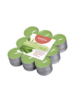 اشتري Pack of 18 True Scented Green Tea Tealight Candles في الامارات