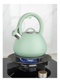 اشتري Cuisine Art JURA Stainless Steel Whistling Tea Kettle 3.0L, Green, 201 Stainless Steel, Nylon Handle, Soft Touch Coating, Fast Boiling, 18/0 Single Bottom, Suitable for use on all stove tops في الامارات