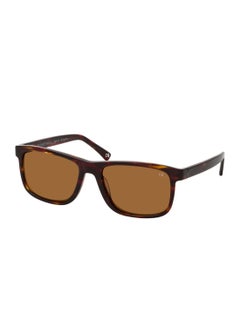 Buy BIS-7012 men Classic Rectangle Sunglasses Brown 58 mm in UAE