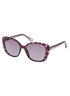 Buy Women's Rectangular Sunglasses - SE626555D56 - Lens Size: 56 Mm in Saudi Arabia