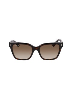 Buy FULL RIM ACETATE MODIFIED RECTANGLE LACOSTE SUNS L6022S  5418 (230) DARK HAVANA in UAE