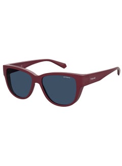 Buy Cat-Eye Ancillaries Sunglasses PLD 9013/S  RED 58 in Egypt
