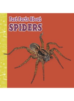 Buy Fast Facts About Spiders in UAE