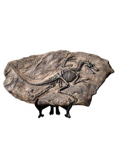 اشتري Resin Fossil Dinosaur Statue Model Simulated Dinosaur Skeleton Fossil Model for Home Office Decorative Craft Decoration في الامارات