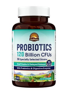 Buy 120 Billion CFUs Probiotics 36 Strains, Prebiotics, Digestive Enzymes for Men and Women, 30 Delayed Release Veg Caps in Saudi Arabia