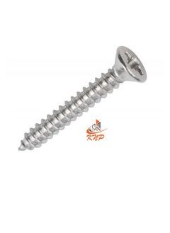 Buy Self Tapping CSK Head Screw 10 X 2-1/2" in UAE