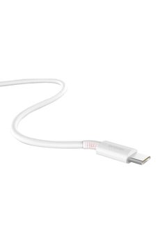 Buy 1 Meter USB Type-C Output 5A Data Sync Quick Charging Cable White in Saudi Arabia