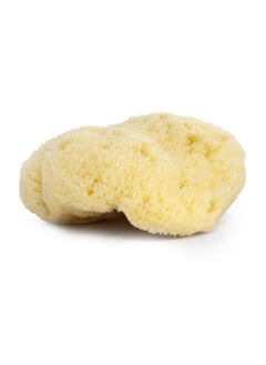 Buy Najel Organic Skincare - Natural Sponge 9-10 cm in UAE