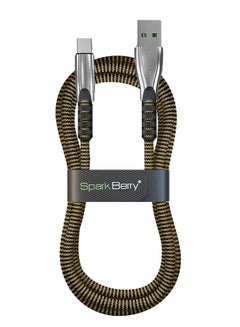 Buy Spark Berry USB T0 Type-C BRAIDED NYLON CABLE 1.2M 3A Gold in Egypt
