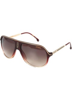 Buy Men's Shield Sunglasses - SAFARI65/N_07W5 HA - Lens size: 62 mm in UAE