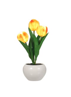 Buy Tulip Lamp Indoor Decorative Table Lamp Flower Pot Lamp Ambient Night Light Gift Potted Plant in UAE