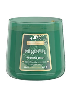 Buy Vibes 2-Wick Mindful Aromatic Natural Soy Wax Blend Jar Candle Green 15oz 46341695 in Saudi Arabia