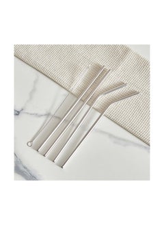 Buy Barwell 5-Piece Stainless Steel Straw Set with Nylon Brush 21.5 x 0.6 cm in UAE