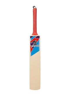 Buy TA Sport Youth Cricket Bat for Soft Ball Play, Size 4, Deco Finished in UAE