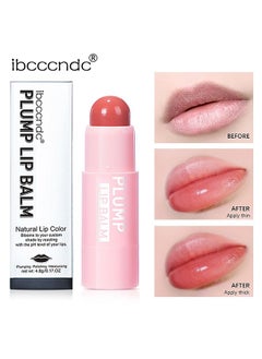 Buy Plump Lip Balm - Natural Lip Golor - Natural Gloss Finish - Lasting Hydration in Saudi Arabia