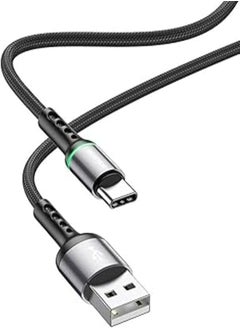 Buy BOROFONE BU33 Color ring charging data cable for Type-C - Black in Egypt