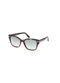 Buy Women's Butterfly Shape Acetate Sunglasses FT110852P55 Lens Size: 55 Millimeter - Dark Havana in Saudi Arabia