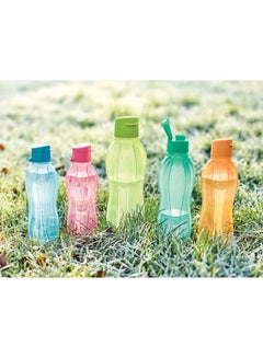 Buy Tupperware Margritta Light Green 

Eco+ Bottle 310ml  Plastic in Saudi Arabia