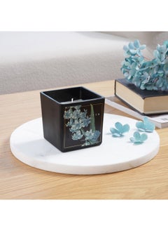 اشتري Botany Snow and flower Black scented Jar Candle 220gm- 28 Hrs في الامارات