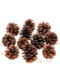 Buy Christmas Natural Pine Cones Bulk For Decoration 6 Pcs in Egypt