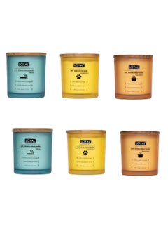 Buy Scented Candle Combo Of Anti Tobacco, Anti Pets, Anti Kitchen Candle 250g Pack Of 6 in UAE