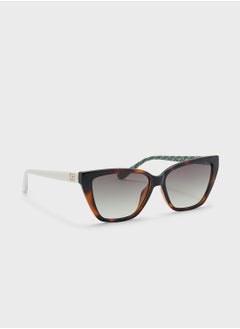 Buy Cat Eye Sunglasses in UAE