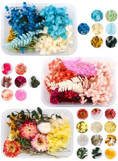 Buy Natural Real Dried Flower Combination Mixed Multiple Assorted Dried Flower Material Package for Handmade Crafts DIY Accessories Home Decoration Filling Materials (3 Box) in UAE