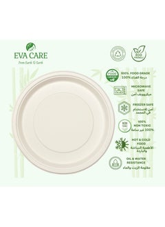 Buy 11" ROUND PLATE (BIODEGRADABLE, PACK OF 25) in UAE