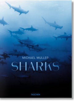 Buy Michael Muller. Sharks in Saudi Arabia