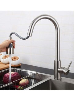 اشتري Puri Pro Kitchen Sink Pull Tap Water Saving Sprayer Faucet With 2 Sprayer Settings في الامارات