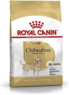 اشتري Chihuahua Adult في الامارات