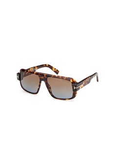 اشتري Men's Navigator Shape Acetate Sunglasses FT110152F58 Lens Size: 58 Millimeter - Dark Havana في الامارات