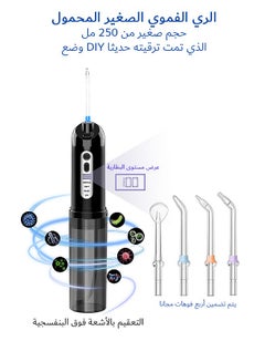 Buy 250ML Water Dental Flosser with 4 Modes, IPX7 Waterproof Oral Irrigator, Detachable Dental Cleaners (Black) in Saudi Arabia
