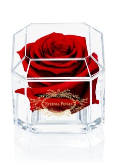 Buy Eternal Petals,  A 100% Real Rose That Lasts Years - Gold Solo (Deep Red) in UAE