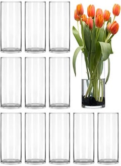 اشتري Bigivaca 6 Inch Tall Clear Glass Vases,Bulk Cylinder Flower& Plant Vases,Candle Holders For Home Decoration And Wedding Centerpieces. Set Of 12 Pack. في الامارات